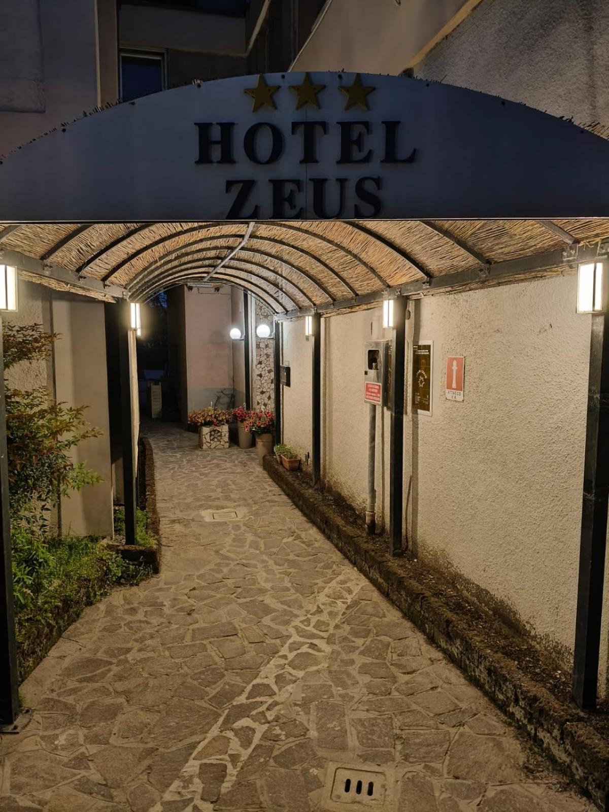Hotel Zeus Лідо-ді-Классе Екстер'єр фото